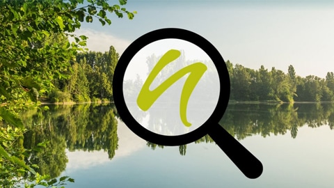 netherland gewinnspiel