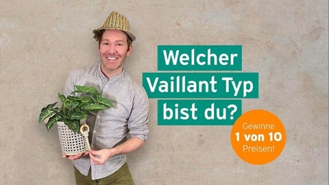 Vaillant gewinnspiel