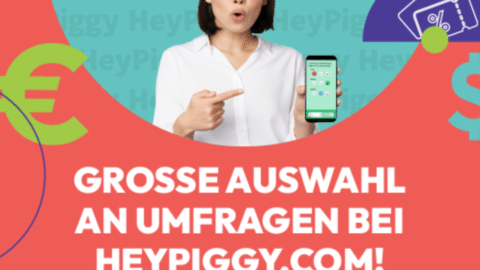 Heypiggy-Umfragen