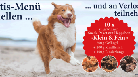 Gratisprobe Nassfutter für Deinen Hund