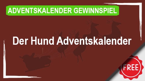 Der Hund Adventskalender Gewinnspiel